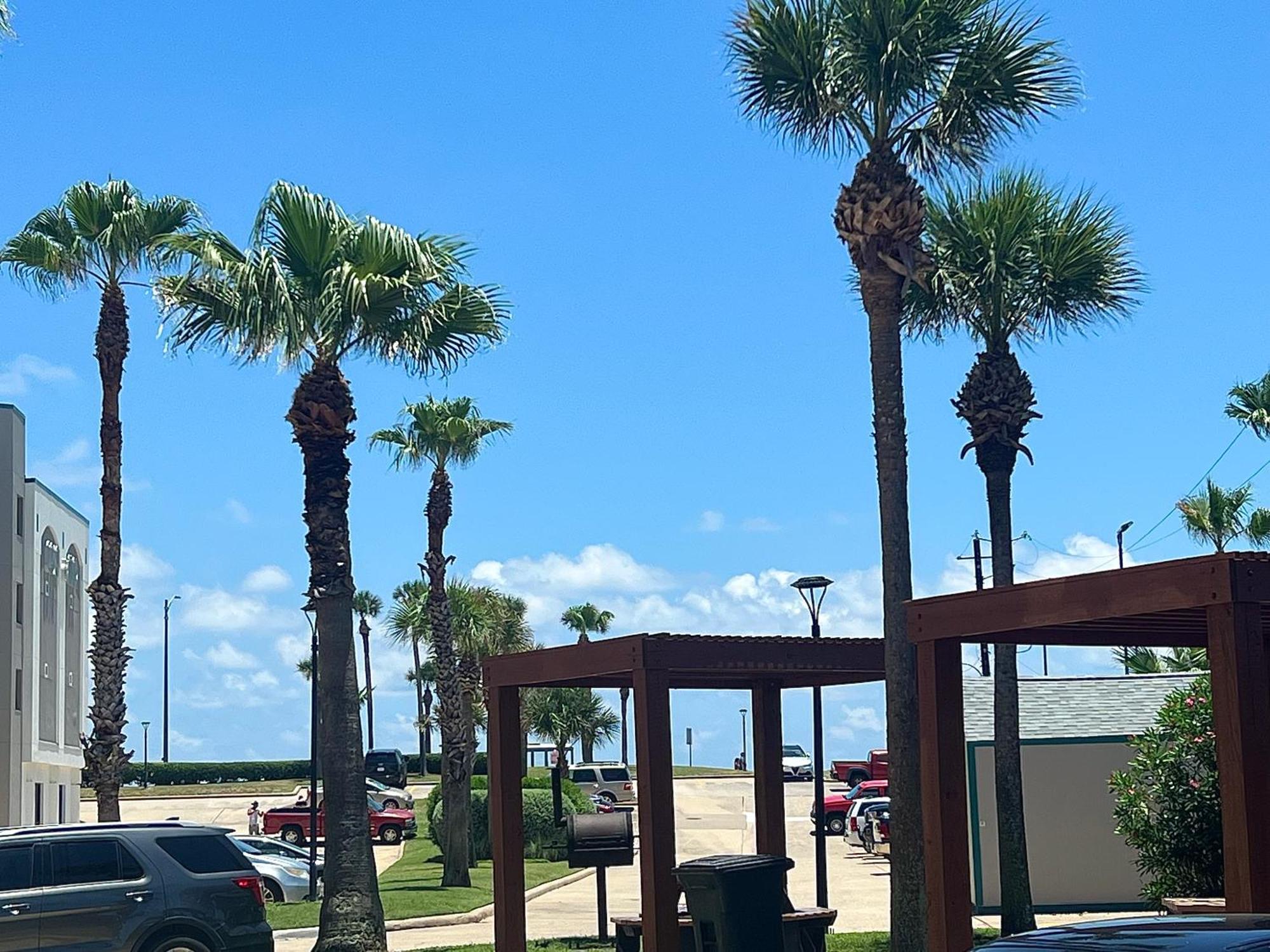 Cozy Galveston Beach Front Condo Exterior photo